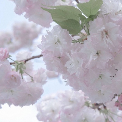 尚志福瑞交流群